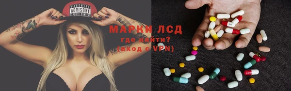 трава Верея