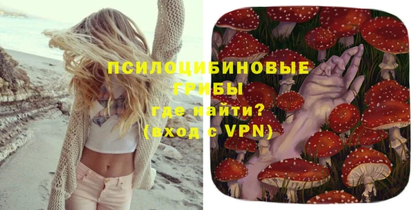 гашик Володарск