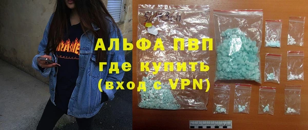 стаф Волоколамск