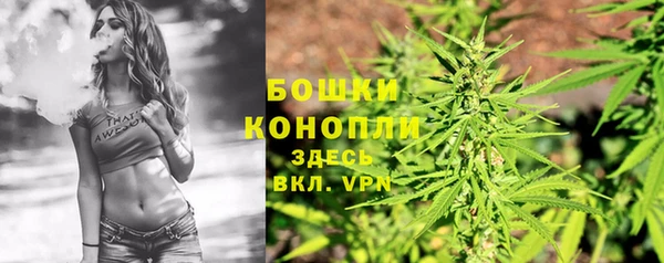 гашик Володарск