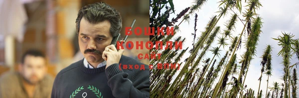 гашик Володарск